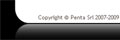 Penta Industria Srl